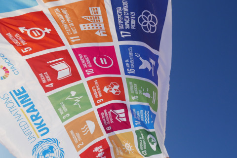 UN in Ukraine/2014